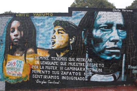 IR mural in Candelaria ,Bogota,Colombia.